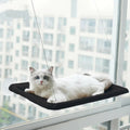 Cat Window Hammock – Space Saving Sunny Bed with Suction