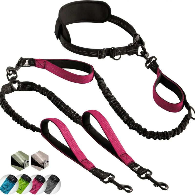 Laisse double mains libres pour chien – Ceinture réfléchissante réglable